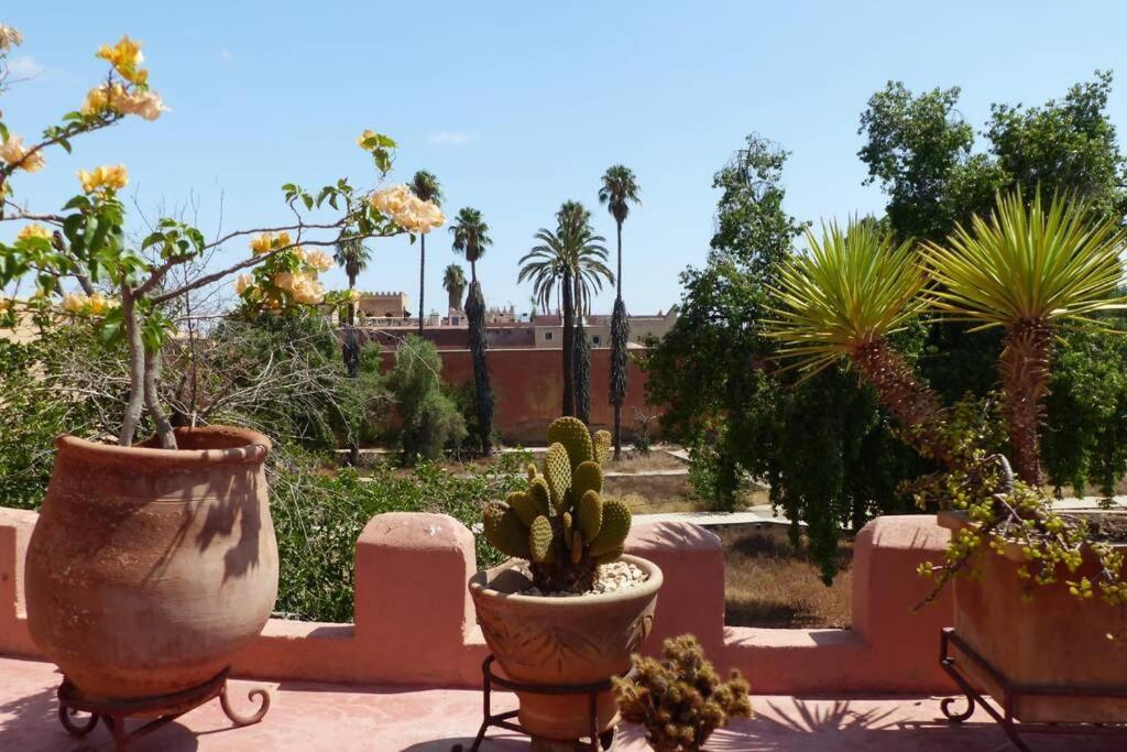 Emplacement N°1 ! Riad Ica Villa Marrakesh Exterior foto